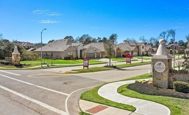 25739 Boxwood Hedge Ln, Tomball, TX 77375 - photo 4