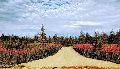 Driveway 2