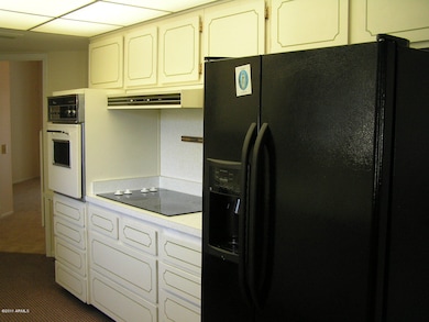 10430 W Pineaire Dr, Sun City, AZ 85351 - photo 7