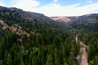 20 Acres