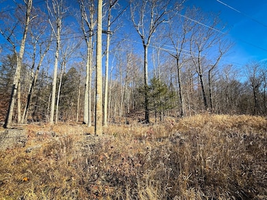 0 Langford Creek Rd unit LotWP002, van Etten, NY 14889 - photo 5