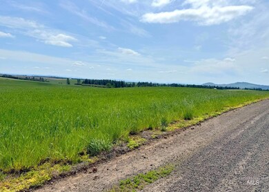TBD Stuart Rd, Orofino, ID 83544 - photo 2