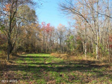 0 Grimsley Rd unit 1004220206, Flint Hill, VA 22627 - photo 6