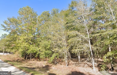 2 ACRES Sandy Ridge Rd, Millen, GA 30442 - photo 3