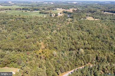 0 File Rd unit VACV2008830, Milford, VA 22514 - photo 4