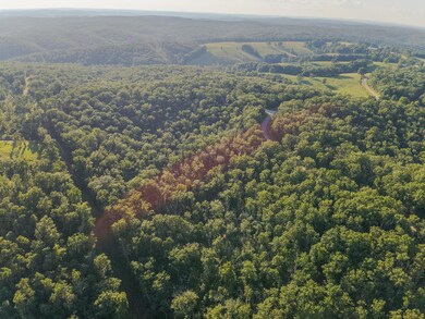 Tbd State Highway Y, Willow Springs, MO 65793 - photo 4