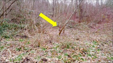 39950 295th Place SE, Enumclaw, WA 98022 - photo 6