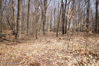 6 Paiute Path, Pocono Lake, PA 18347 - photo 4