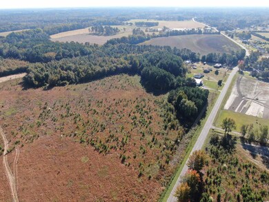 Birds eye view of property with a rural view