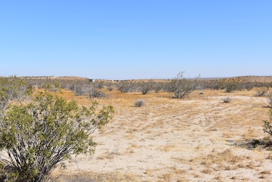 0 Ave D8 and 233rd St E Vic, Lancaster, CA 93535 - photo 5