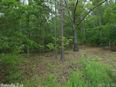 00 W Main, Heber Springs, AR 72543 - photo 5