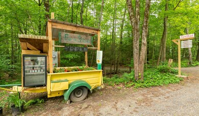 226 Raymond Rd, Nottingham, NH 03290 - photo 2