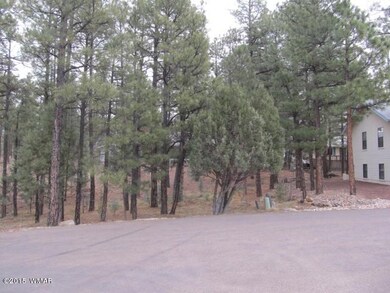 1241N42Drive (4)