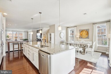 23500 Belvoir Woods Terrace, Ashburn, VA 20148 - photo 6