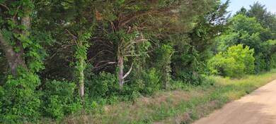 0000 Old Sadler Rd, Sadler, TX 76264 - photo 5