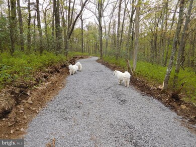 31 Pine Point Dr, Maysville, WV 26833 - photo 5