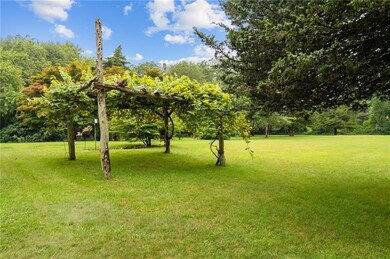 vines/ back yard