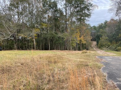 1452d Caesar Necaise Rd, Carriere, MS 39426 - photo 5