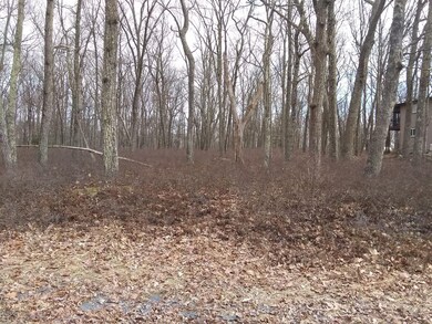 104 Surrey Dr, Blooming Grove Township, PA 18428 - photo 2