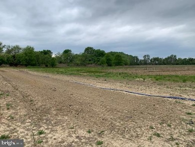 0 Cecilton Warwick Rd unit MDCC2013494, Warwick, MD 21912 - photo 2