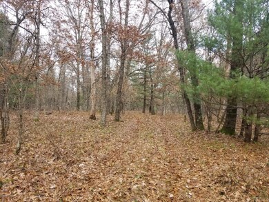 VL Par 11 W 8th St, Baldwin, MI 49304 - photo 5