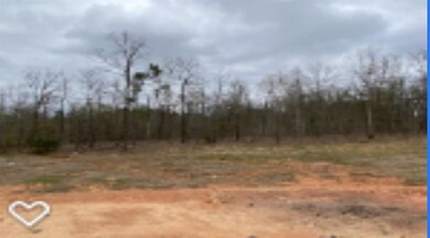 21 Heritage Blvd, Texarkana, TX 75501 - photo 6