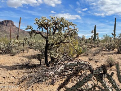 7305 N van Ark Rd unit 2, Tucson, AZ 85743 - photo 7