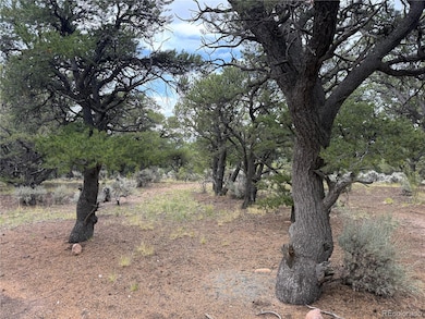 7863 Platten Rd, Fort Garland, CO 81133 - photo 3