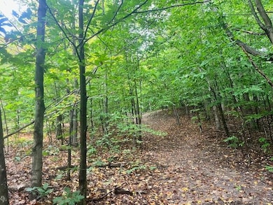 VL55 Nine Mile Rd, Kaleva, MI 49645 - photo 7