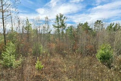 7 Lady Slipper Ln, Moultonborough, NH 03254 - photo 2