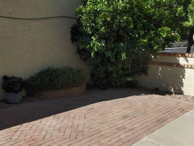Courtyard with fruit tree and pavers