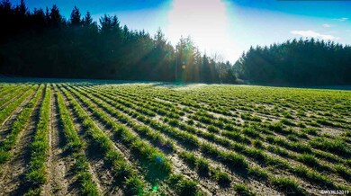 0 Highway 223 (Parcel #572895) unit 746733, Dallas, OR 97338 - photo 2