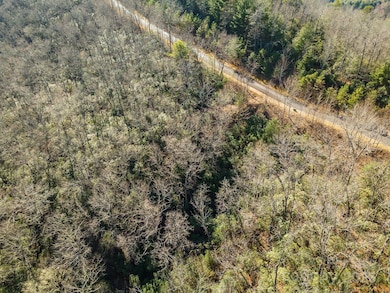 99999 Mills River Way unit 108, Mills River, NC 28742 - photo 6