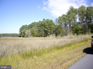2734 Bishops Head Rd, Toddville, MD 21672 - photo 4