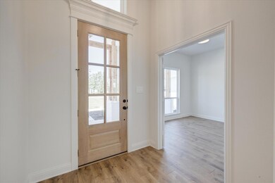 1016 Monaco Ct, Springtown, TX 76082 - photo 4