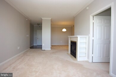 3005 Leisure World Blvd S unit 806, Silver Spring, MD 20906 - photo 4