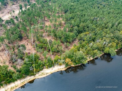 Leaf_River_Parcel_10-2