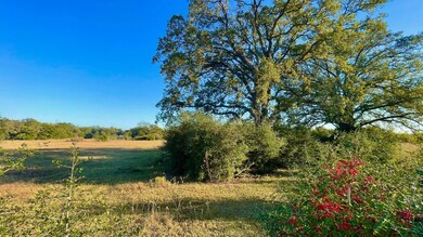 9201 Fm 2096 (+ -44 13 Acres), Franklin, TX 77856 - photo 4
