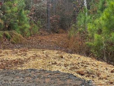 00 Scenic Lane (Lot 183), Granite Falls, NC 28630 - photo 2
