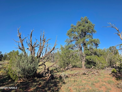 10072 Red Butte Rd, Valle, AZ 86046 - photo 3