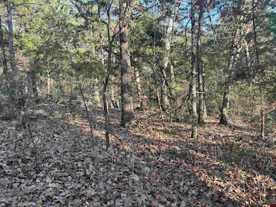 555-00002-000 Marion County 3063, Yellville, AR 72687 - photo 4