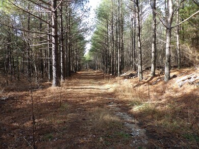 340 Rd, Evensville, TN 37332 - photo 7