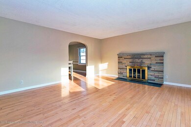 Wood Burning Fireplace
