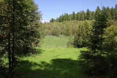 2128 Upper Dry Creek Rd, Chewelah, WA 99109 - photo 3