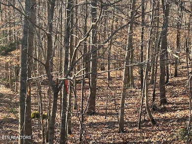 0 Whistle Valley Rd unit 1324743, New Tazewell, TN 37825 - photo 2