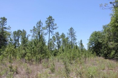 listing777585photo4