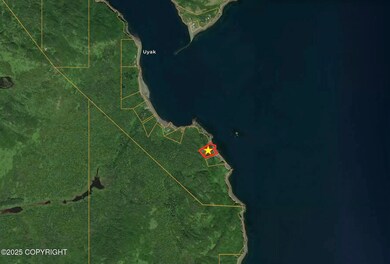 L5 Uyak Bay, Larsen Bay, AK 99624 - photo 2