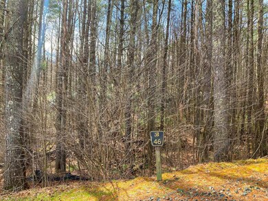 Lot 46 is on a cul-de-sac and is a gently rolling lot with great build potential.
