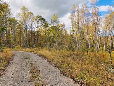 TBD Red Roof Ln, Laurel Fork, VA 24352 - photo 4