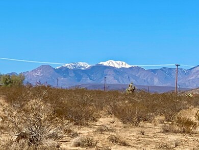 132 Mars Dr, Joshua Tree, CA 92252 - photo 2